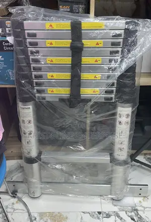 Telescopic Ladder
