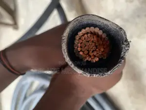 500mm Single Core Armored Cable Original
