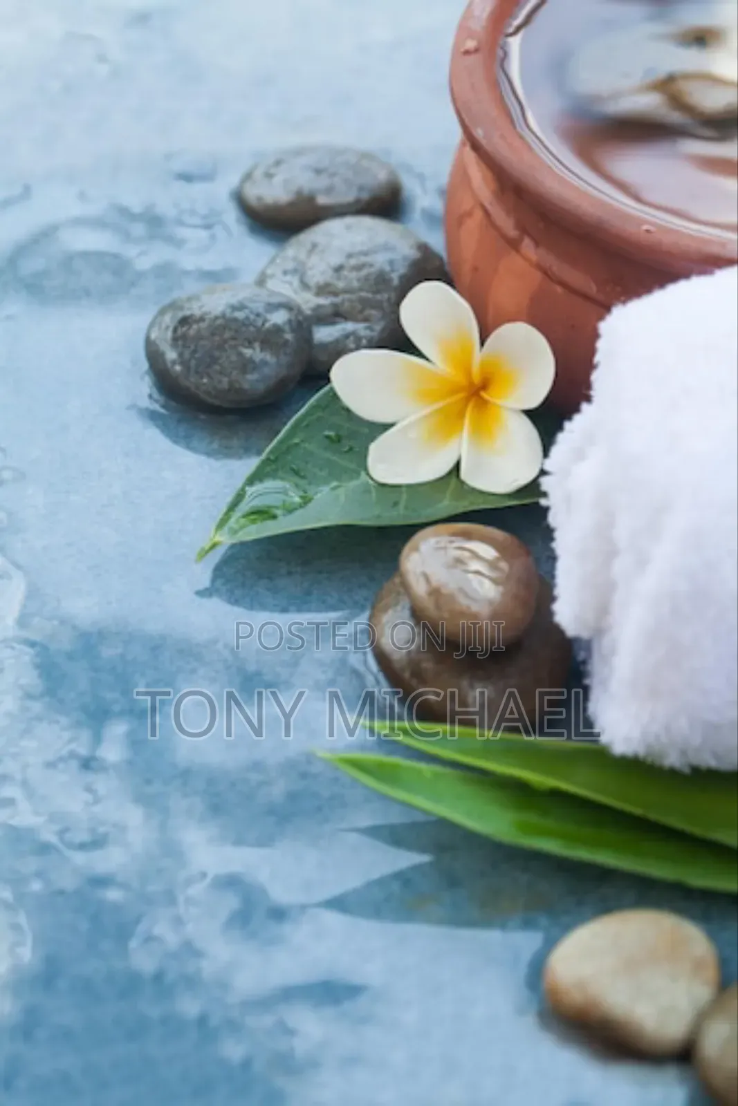 Spa Therapist