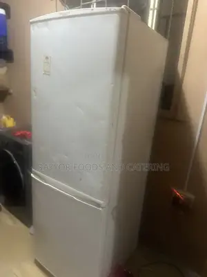 Fridge With Freezer