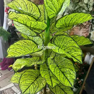 Plant and Vase Available as Seen
