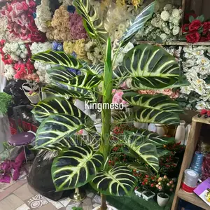 Pant and Pot Available as Seen