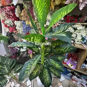 Pland and Pot Available as Seen