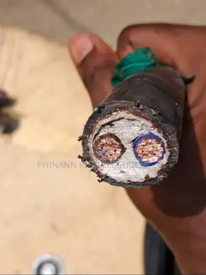 25mm 2core Cable With Screen Copper