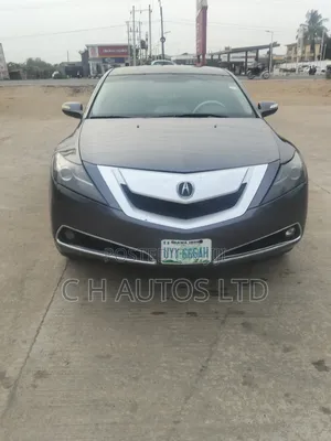 Acura ZDX Base AWD 2011 Gray