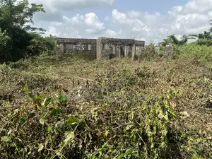 Uncompleted Building on a Plot of Land