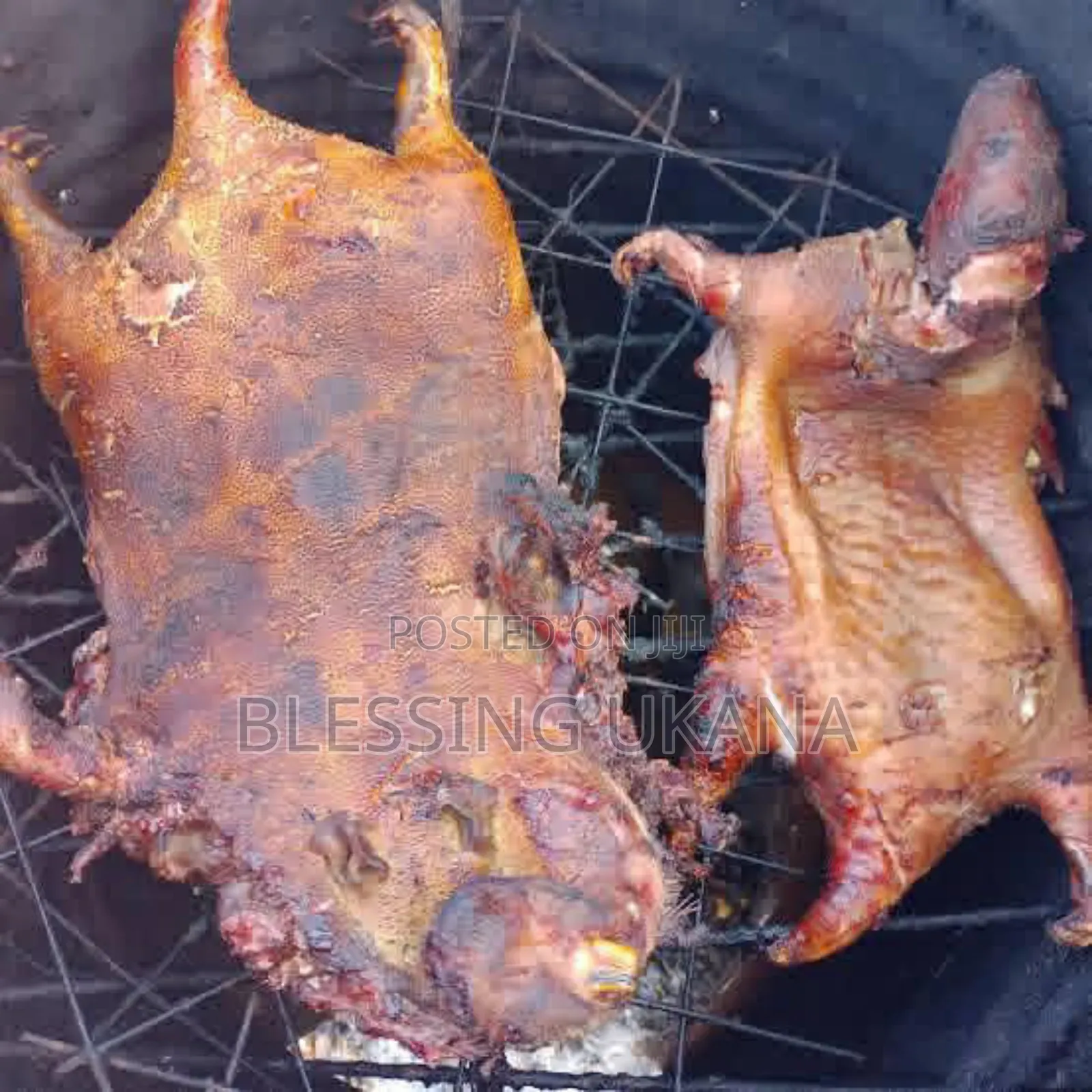 Dehydrated Grass Cutter Meat