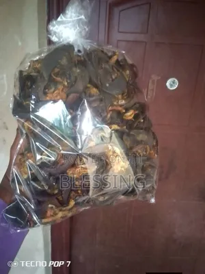 Dehydrated Giant Snails