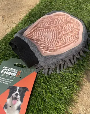Dog Accessories
