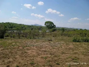 Massive Farm Land for Sale in Karu Nigeria