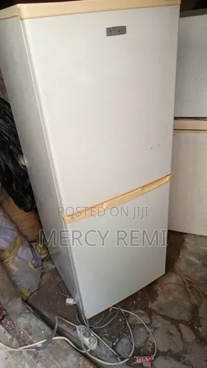 Door Double Refrigerator