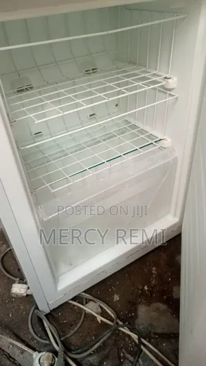 Door Double Refrigerator