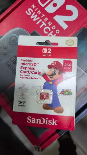 256gb Micro Sd