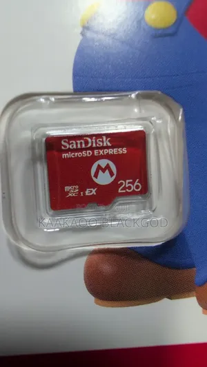256gb Micro Sd