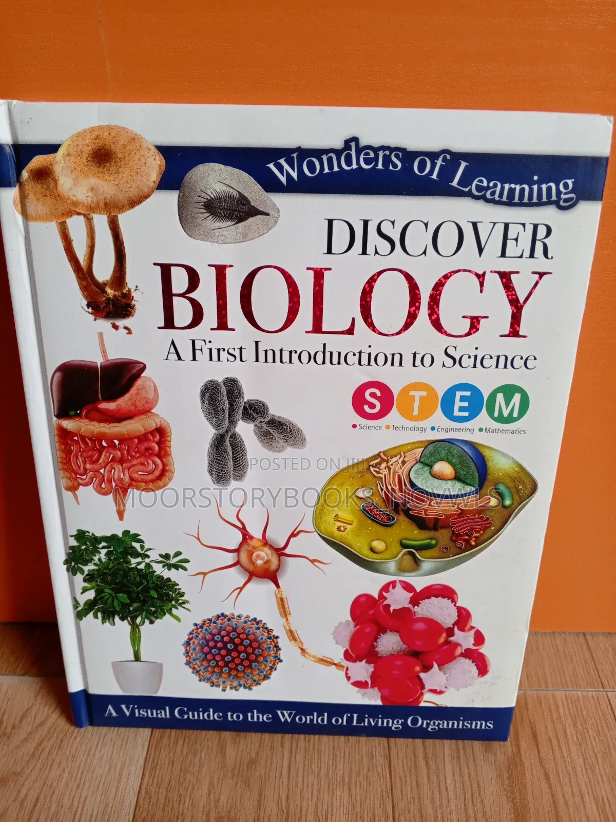 Stem Biology