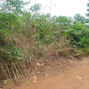 500 Plots of Land at Eze Afia Layout Ibagwa Niket of Land