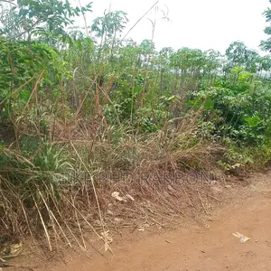 500 Plots of Land at Eze Afia Layout Ibagwa Niket of Land