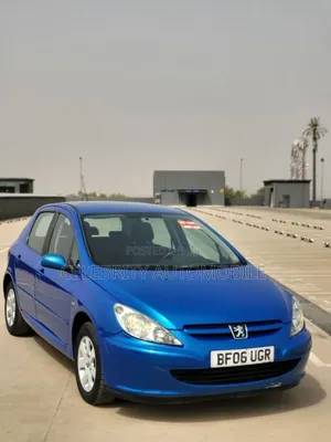Peugeot 307 2006 Blue