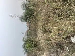 Plot of Land at Ire Akari Soka