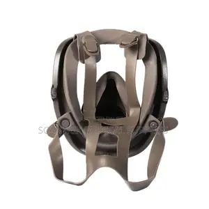 Professional Chemical Vapour Protection Full Face Mask