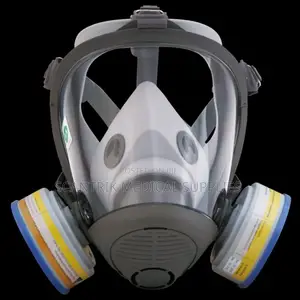 Advanced Industrial Full Face Mask With Organic Vapour Filter