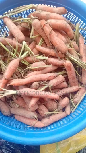 Vegetables and Fruits.