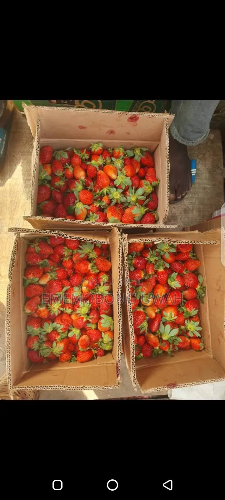 Vegetables and Fruits.