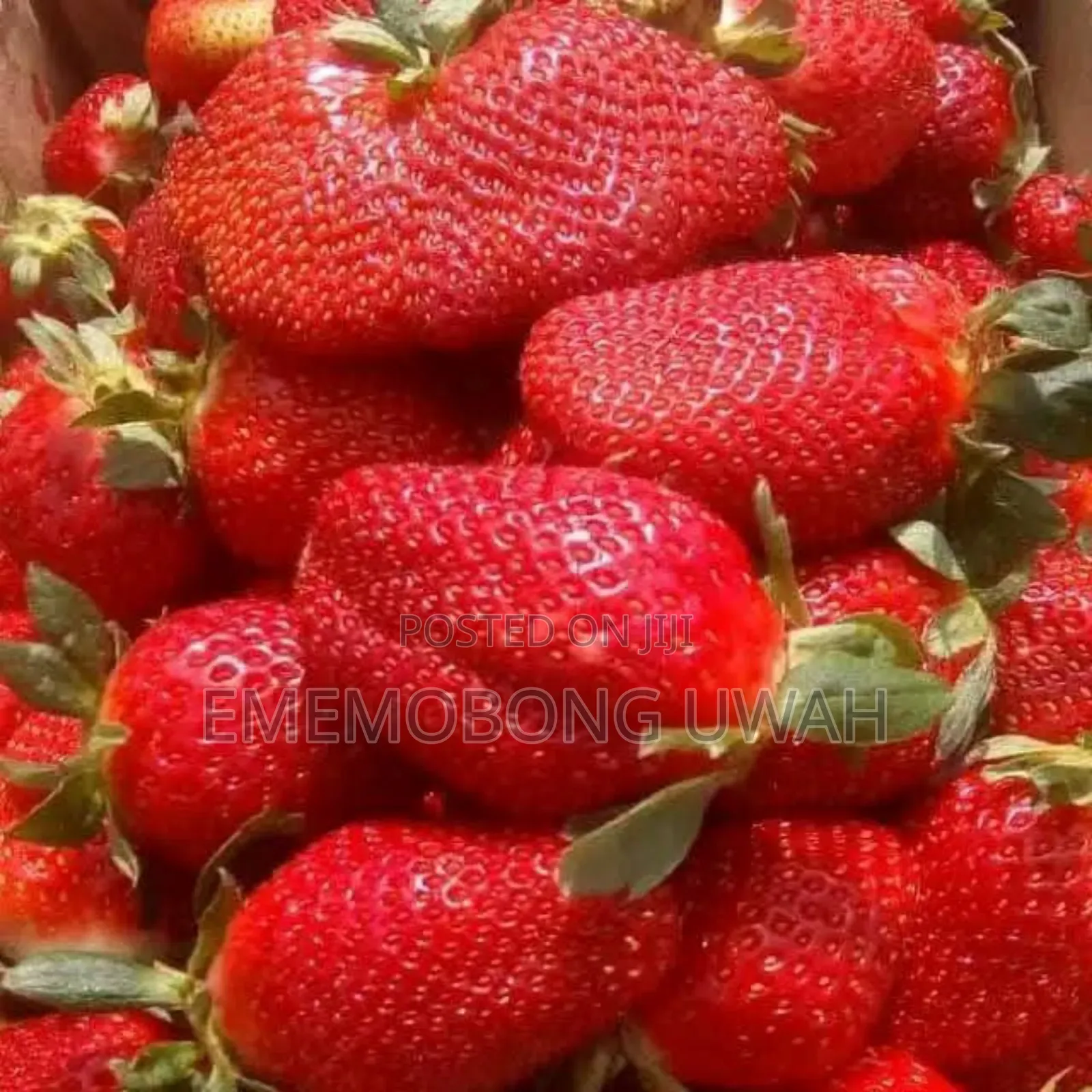 Vegetables and Fruits.