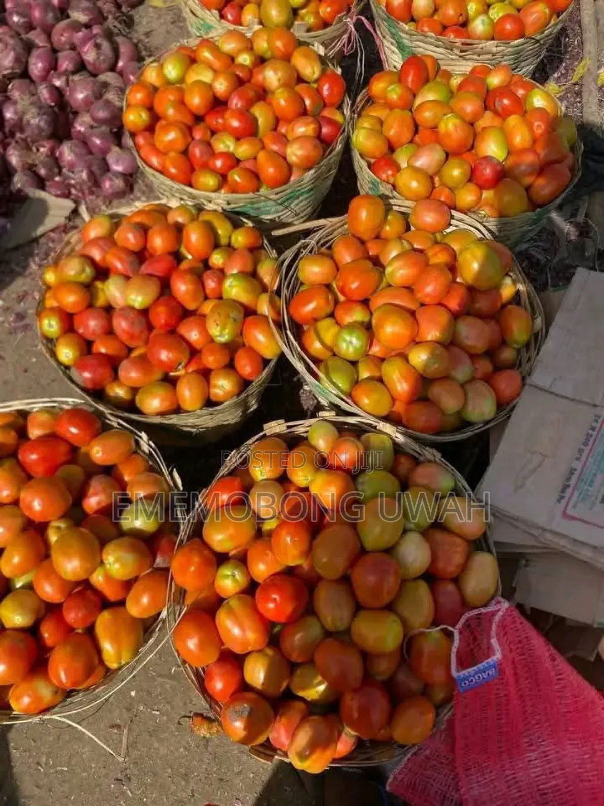 Vegetables and Fruits.