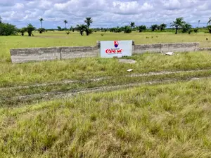 Certificate of Occupancy