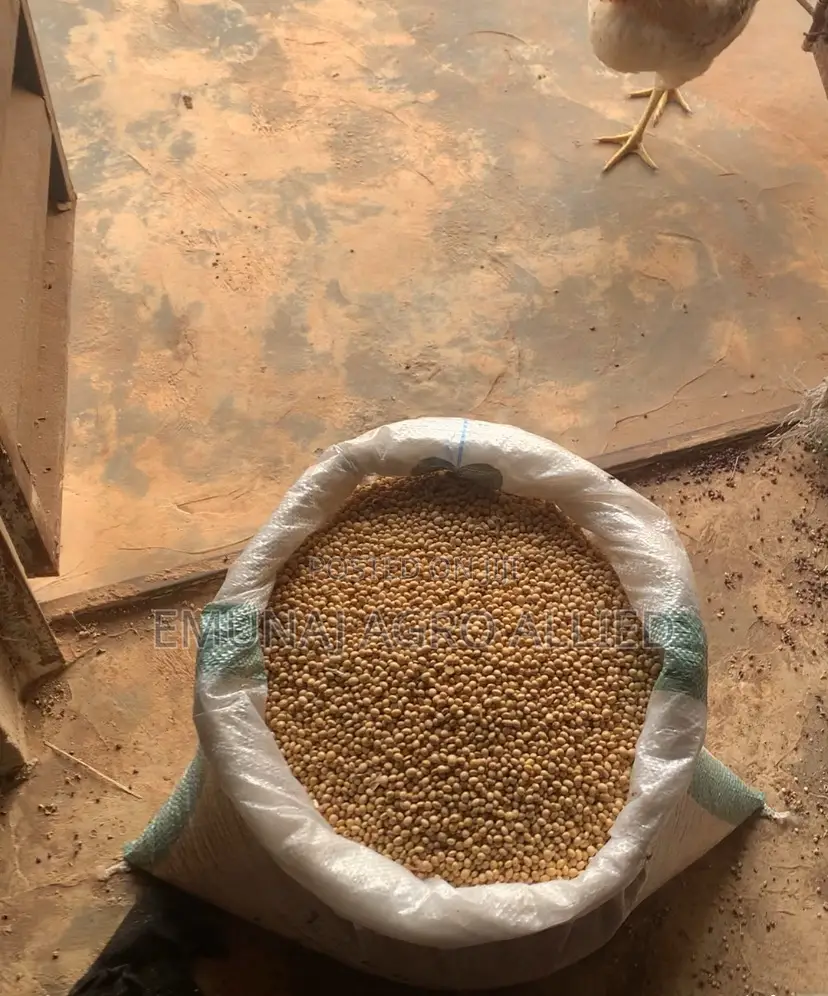 Soyabeans