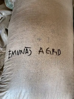 Soyabeans