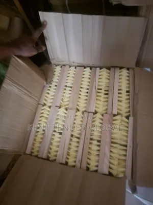Scrubbing Brush
