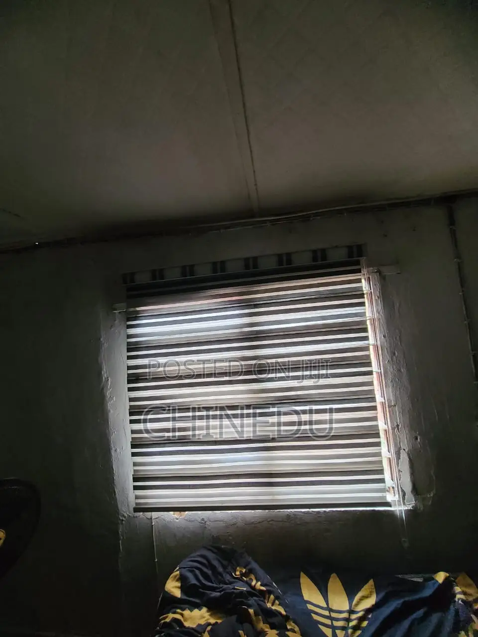 Window Blind