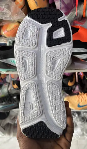 Skechers Canvass