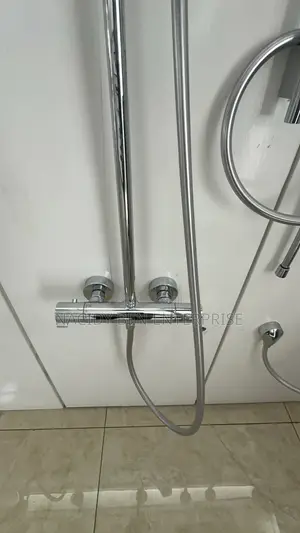 Hansgrohe Thermostat Shower