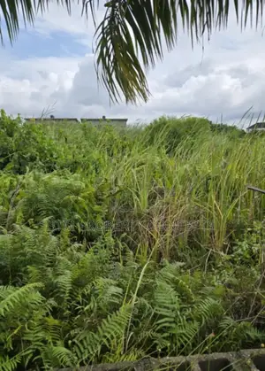 Half Plot of Land for Sale at Taodak Estate Ifako Gbagada Lagos