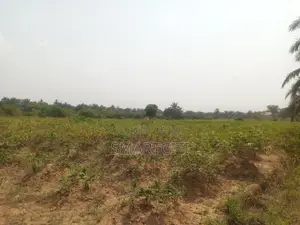 31 Plots of Land
