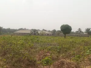 31 Plots of Land