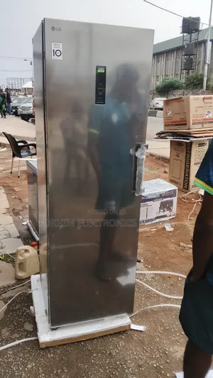 Lg Standing Inverter Freezer
