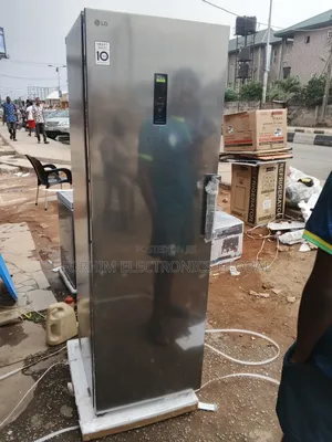Lg Standing Inverter Freezer