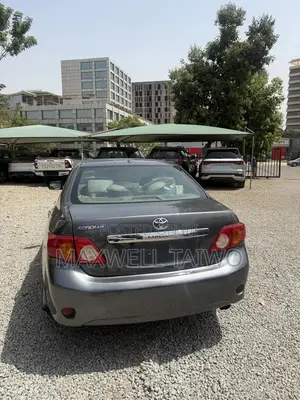 Toyota Corolla LE 4dr Sedan (1.8L 4 cyl 4A) 2009 Gray