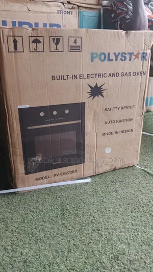 Built-in Electric Gas Oven