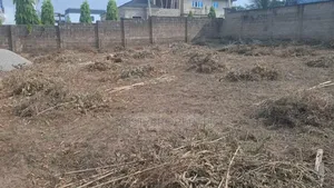 Almost a Plot and Half at Serene Environment