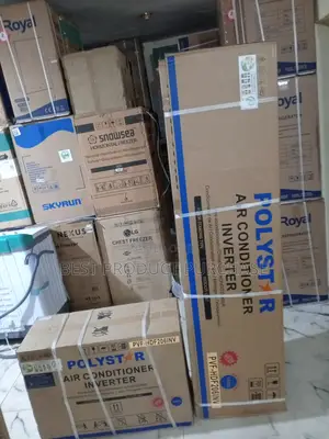 Large Living Room Ac: Polystar 2 Ton Inverter Standing