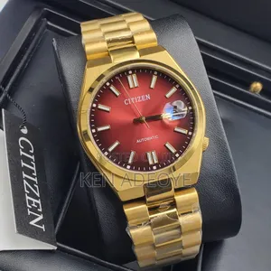 Citizen Automatic Chain Watch