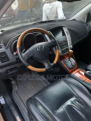 Lexus RX 2009 Blue