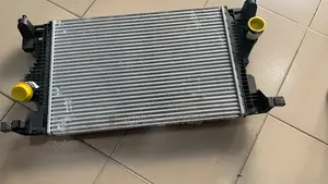 247 Gla/Cla Condenser
