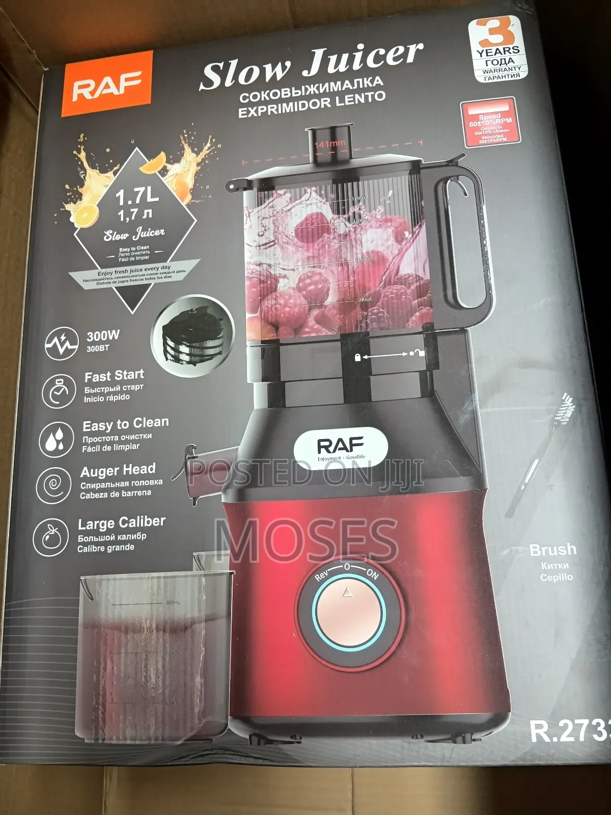 Raf Slow Juicer