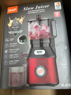 Raf Slow Juicer